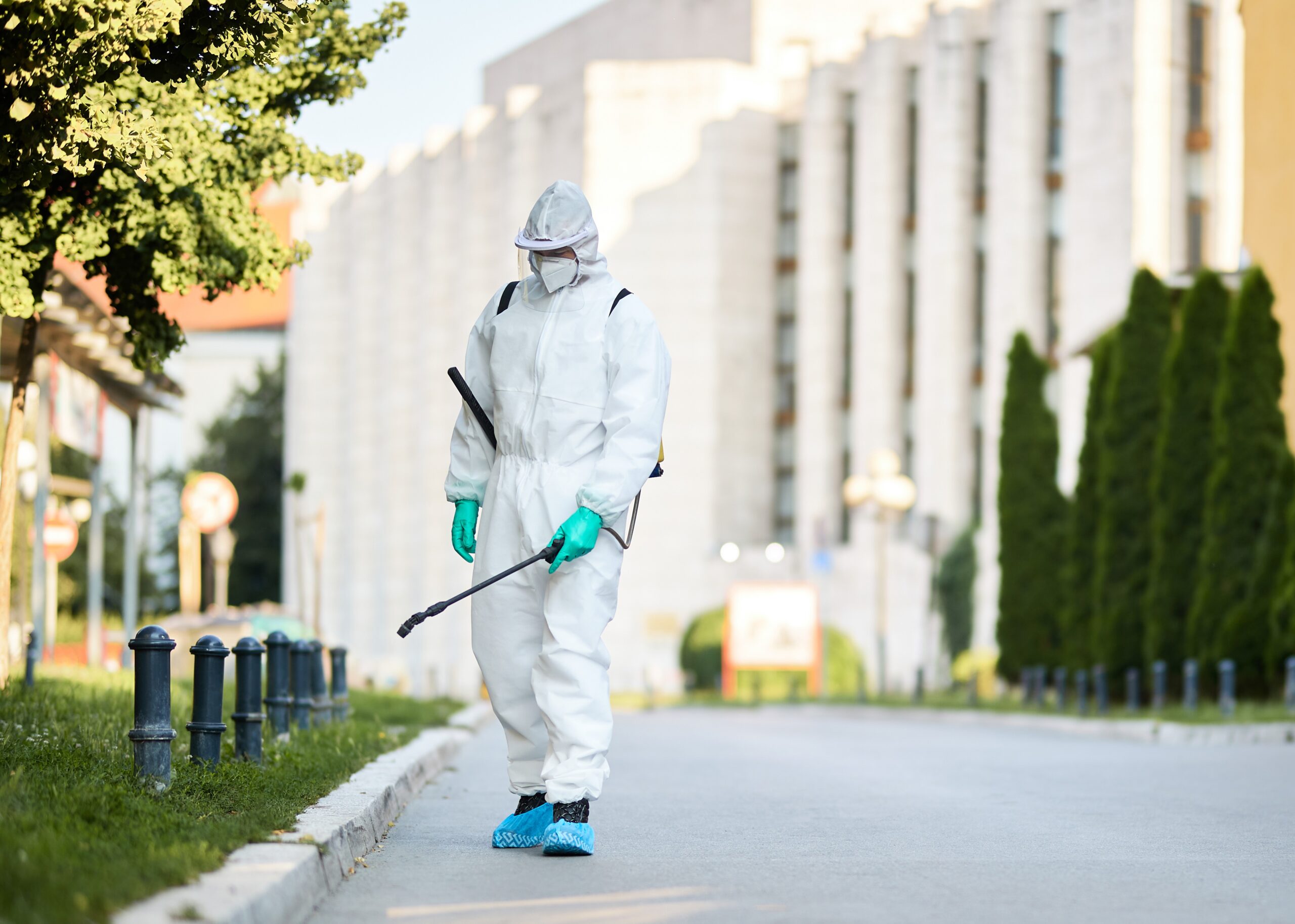 Fumigaciones en Puebla proceso